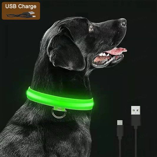 Pointbazzar™ Light Necklace